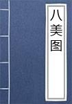 八美图